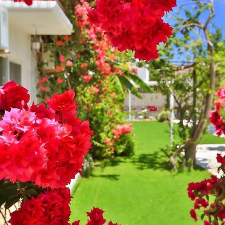 ألاتشاتي Kiraz Butik Hotel المظهر الخارجي الصورة