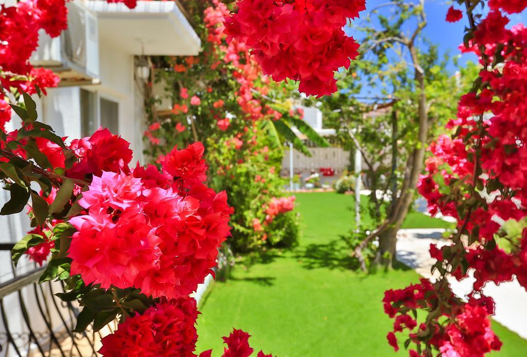 ألاتشاتي Kiraz Butik Hotel المظهر الخارجي الصورة